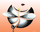 design O