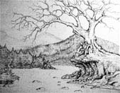 rip van winkle